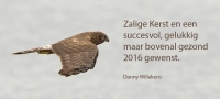 Filename=Kerst-Nieuw-2016.jpg
Filesize=247KB
Dimensions=981x442
Date added=Dec 24, 2015 Kerst-Nieuw-2016.jpg