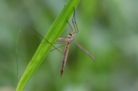 Filename=sized_049A2773.JPG
Filesize=243KB
Dimensions=1024x683
Date added=Sep 12, 2015 sized_049A2773.JPG