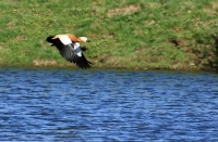 Filename=Casarca.jpg
Filesize=156KB
Dimensions=920x603
Date added=Apr 02, 2011 Casarca.jpg