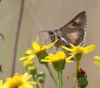 Filename=Gamma-uil.jpg
Filesize=180KB
Dimensions=800x705
Date added=Sep 08, 2012 Gamma-uil.jpg