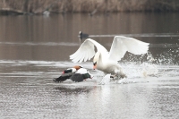 Filename=sized_038~1.JPG
Filesize=237KB
Dimensions=800x533
Date added=Feb 26, 2012 sized_038~1.JPG