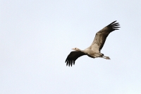 Filename=sized_125~0.JPG
Filesize=249KB
Dimensions=800x533
Date added=Dec 11, 2011 sized_125~0.JPG