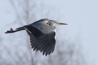 Filename=sized_130(001).JPG
Filesize=241KB
Dimensions=800x532
Date added=Feb 05, 2012 sized_130(001).JPG