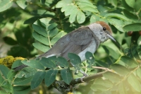 Filename=sized_146.JPG
Filesize=247KB
Dimensions=1100x734
Date added=Jun 13, 2011 sized_146.JPG