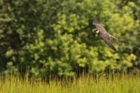 Filename=sized_149.JPG
Filesize=245KB
Dimensions=1100x735
Date added=May 26, 2011 sized_149.JPG