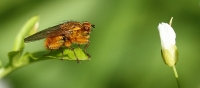 Filename=sized_165.JPG
Filesize=190KB
Dimensions=800x355
Date added=May 18, 2015 sized_165.JPG