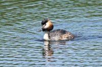Filename=sized_183.JPG
Filesize=247KB
Dimensions=1100x733
Date added=Jun 18, 2011 sized_183.JPG