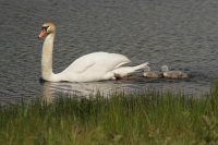 Filename=sized_224.JPG
Filesize=232KB
Dimensions=1100x733
Date added=May 25, 2011 sized_224.JPG