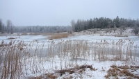Filename=20120121-Lina 2.JPG
Filesize=133KB
Dimensions=800x457
Date added=Jan 23, 2012 20120121-Lina 2.JPG