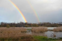 Luysen Dubbele Regenboog.JPG