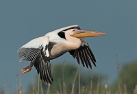 Filename=BN5A7487-bewerkt.jpg
Filesize=293KB
Dimensions=1000x688
Date added=Jul 17, 2014 BN5A7487-bewerkt.jpg