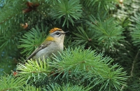 Filename=BN5A8409-bewerkt.jpg
Filesize=295KB
Dimensions=1000x651
Date added=Jul 17, 2014 BN5A8409-bewerkt.jpg