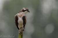 Filename=visarend-k~0.jpg
Filesize=76KB
Dimensions=900x600
Date added=Sep 12, 2013 visarend-k~0.jpg