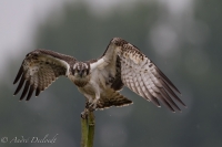 Filename=visarend-k.jpg
Filesize=101KB
Dimensions=900x600
Date added=Sep 12, 2013 visarend-k.jpg