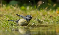 Filename=2DM45249-bewerkt.jpg
Filesize=292KB
Dimensions=1000x595
Date added=May 30, 2015 2DM45249-bewerkt.jpg