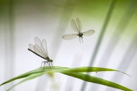 Filename=landing.jpg
Filesize=210KB
Dimensions=750x500
Date added=Jul 19, 2013 landing.jpg