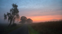 Filename=op-weg-naar-Mariahof-9-b-verkleind.jpg
Filesize=274KB
Dimensions=1000x563
Date added=Oct 21, 2015 op-weg-naar-Mariahof-9-b-verkleind.jpg