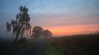 op-weg-naar-Mariahof-9-b-verkleind.jpg