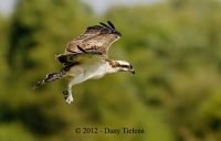 Filename=1D3_6025(001).jpg
Filesize=160KB
Dimensions=1024x659
Date added=Sep 17, 2012 1D3_6025(001).jpg