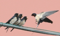 Filename=4.JPG
Filesize=243KB
Dimensions=900x548
Date added=Jul 15, 2012 4.JPG