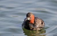 Filename=sized_sized_038.JPG
Filesize=211KB
Dimensions=1020x652
Date added=May 01, 2013 sized_sized_038.JPG