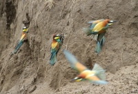 Filename=sized_sized_IMG_2527.JPG
Filesize=268KB
Dimensions=900x613
Date added=May 28, 2013 sized_sized_IMG_2527.JPG