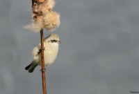 Filename=sized_sized_IMG_3959.JPG
Filesize=223KB
Dimensions=900x616
Date added=Oct 16, 2012 sized_sized_IMG_3959.JPG