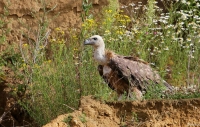 Filename=sized_sized_IMG_9489.JPG
Filesize=256KB
Dimensions=900x575
Date added=Jul 19, 2012 sized_sized_IMG_9489.JPG
