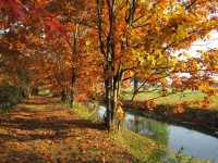 Filename=rsz_herfst_2012_058.jpg
Filesize=261KB
Dimensions=800x600
Date added=Oct 22, 2012 rsz_herfst_2012_058.jpg