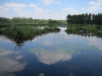 rsz_natuur_040.jpg