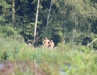 Filename=Luysen1.JPG
Filesize=246KB
Dimensions=613x480
Date added=Aug 26, 2015 Luysen1.JPG